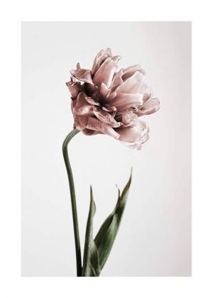 wall pictures 70×100