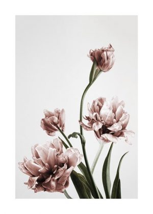 wall pictures