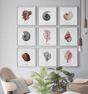 Láminas náuticas con marco para decoración del hogar