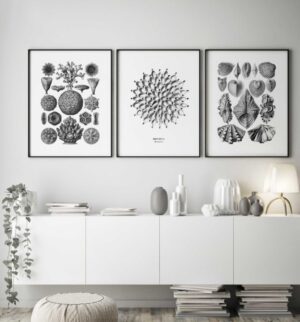 Arte gráfico monocromático con temática natural