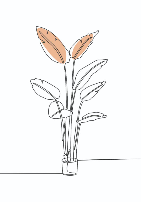 Diseño botánico lineal minimalista