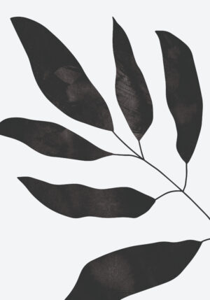 Arte botánico minimalista en monocromo
