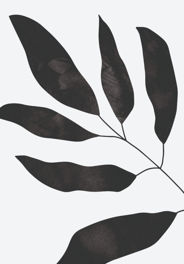 Arte botánico minimalista en monocromo