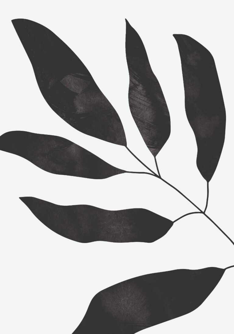 Arte botánico minimalista en monocromo