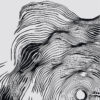 Arte topográfico abstracto en líneas