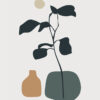 Ilustración minimalista de planta