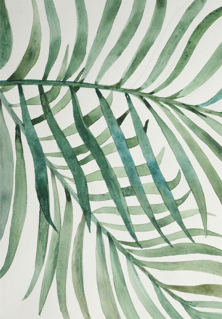 Ilustración acuarela de hoja tropical