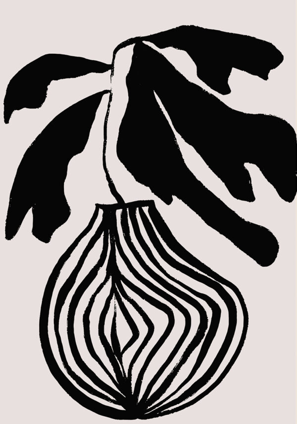 Dibujo botánico en tinta negra