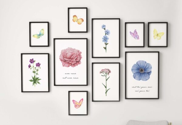 Colección de láminas de botánica y mariposas