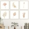 Láminas botánicas minimalistas para pared