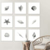 Láminas minimalistas en blanco y negro con temática marina