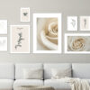 Colección de láminas minimalistas en tonos beige