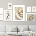 Colección de láminas minimalistas en tonos beige