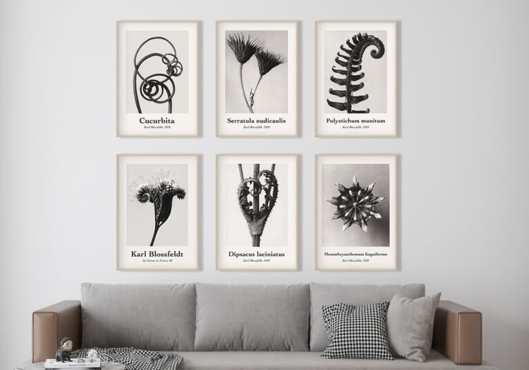 Colección de arte fotográfico botánico