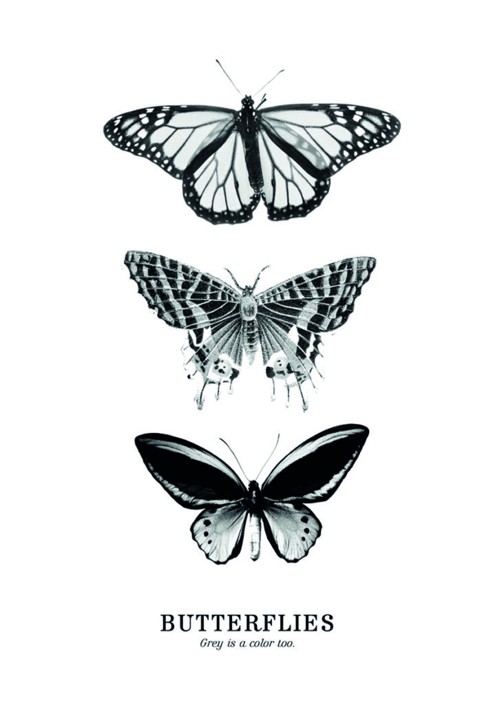 Ilustración monocromática de tres mariposas.