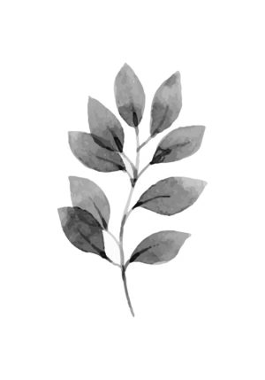 HOJA 8