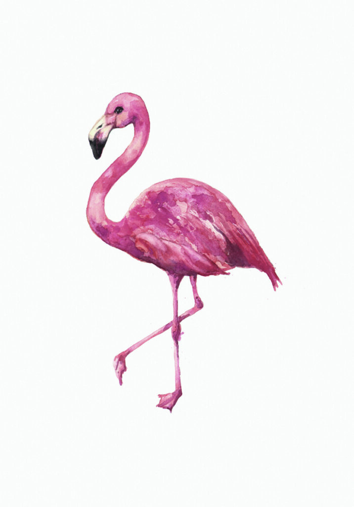 FLAMINGO