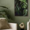 Hojas tropicales de monstera con gotas de agua frescas.