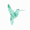 Colibrí Geométrico: Arte Digital para Amantes de la Naturaleza
