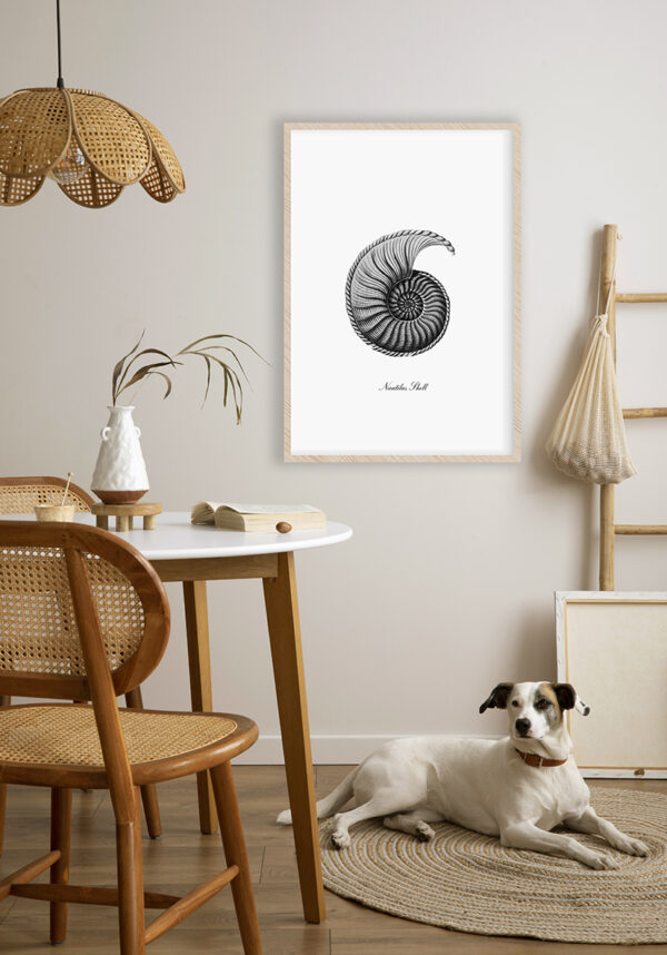 Ilustración detallada de una concha de nautilus