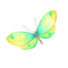 Ilustración en acuarela de mariposa colorida