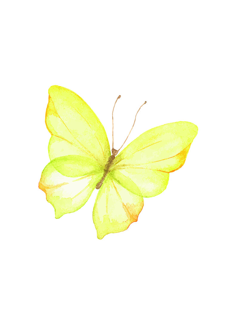 Arte de mariposa amarilla en acuarela