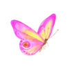 Arte de mariposa rosa en acuarela