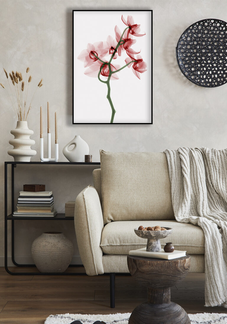 Orquídea en estilo de rayos X