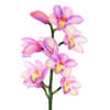 Orquídea rosa en acuarela elegante