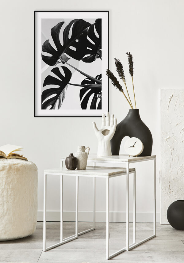 Arte botánico minimalista en blanco y negro
