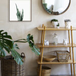 Diseño de sansevieria en tonos verdes