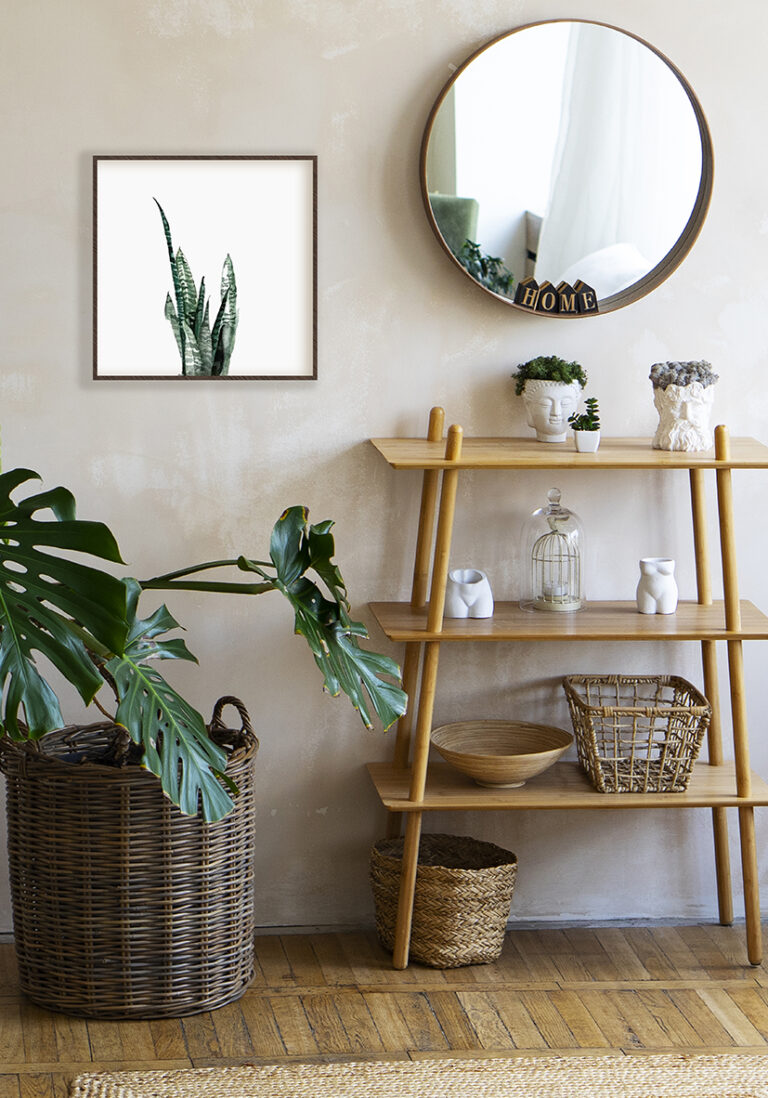 Diseño de sansevieria en tonos verdes