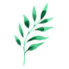 Hoja verde minimalista en acuarela