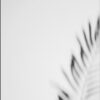 Foto abstracta minimalista de la naturaleza