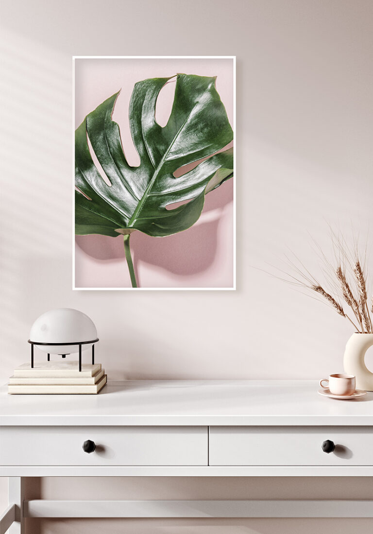 Hoja de monstera sobre fondo rosa minimalista