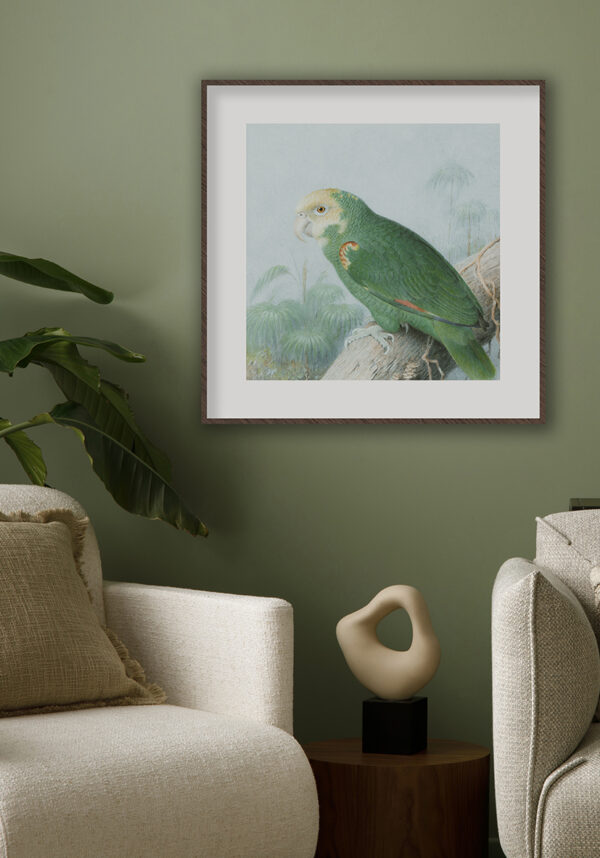 Pintura detallada de loro tropical