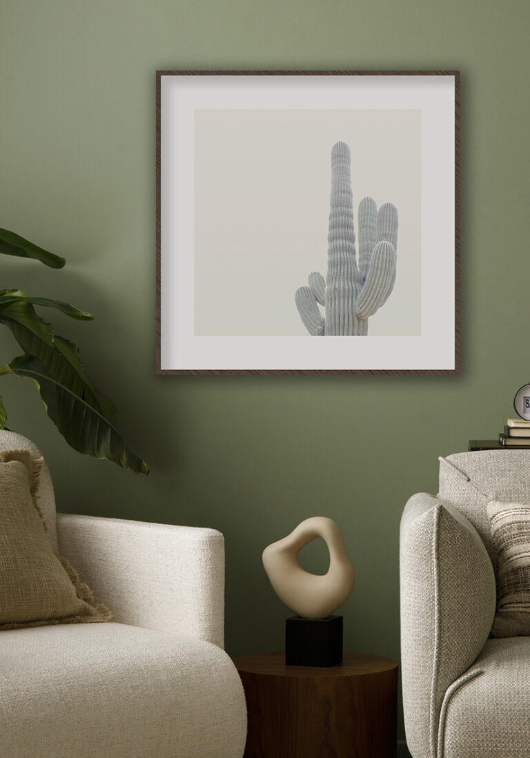 Cactus minimalista con fondo neutro