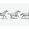 Ilustración grabada de caballos corriendo