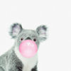 Koala con goma de mascar