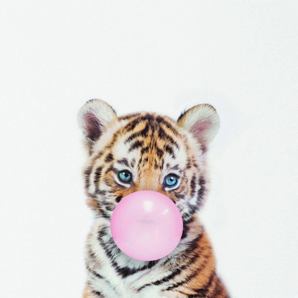 TIGRE PUMP