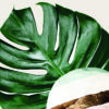 Arte abstracto con hoja verde