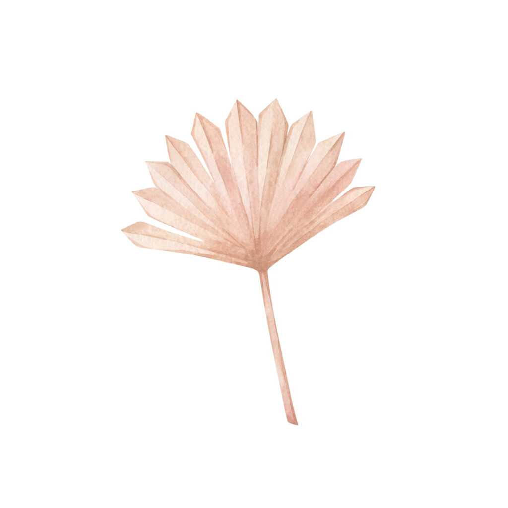Hoja de palmera boho minimalista y elegante