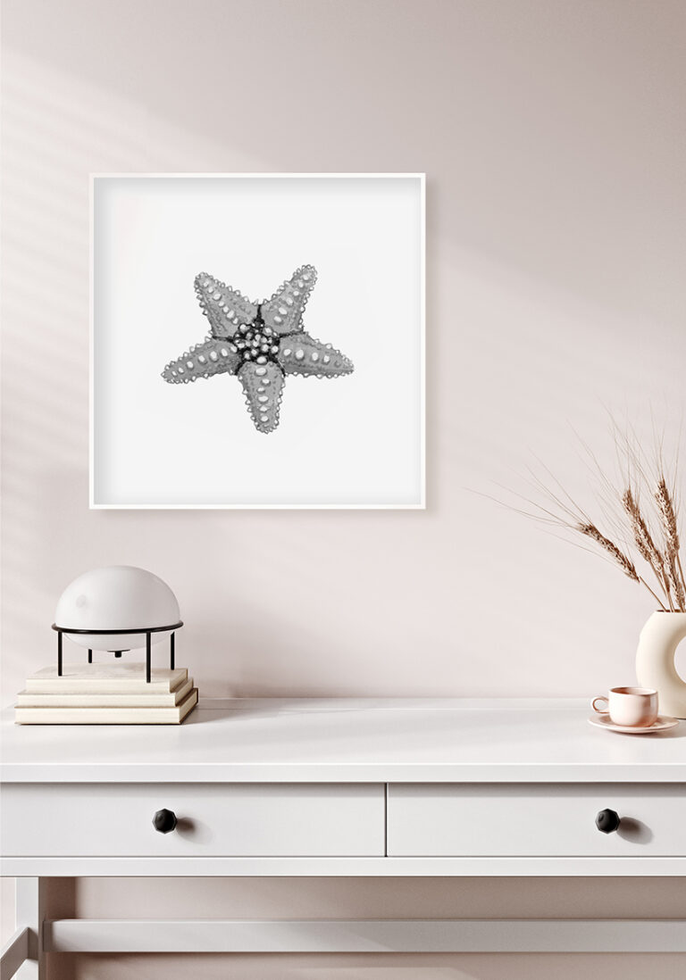Ilustración detallada de una estrella de mar