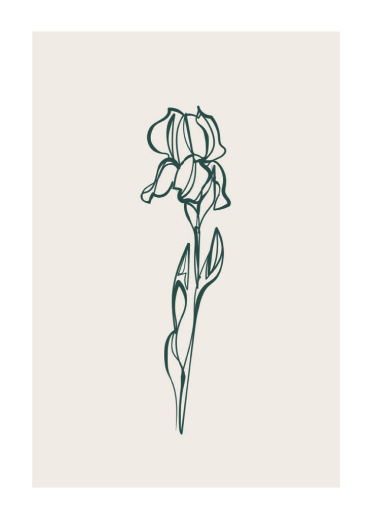 ROSE 5