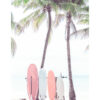 Tablas de surf junto a palmeras en la playa
