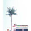 Furgoneta surfer junto a una palmera