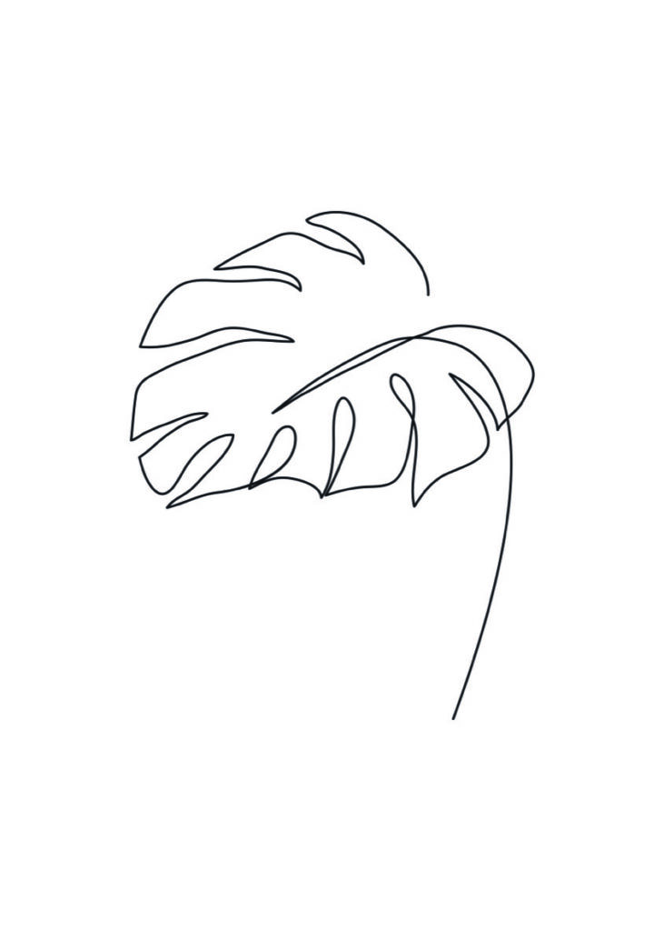 Dibujo lineal minimalista de hoja de monstera