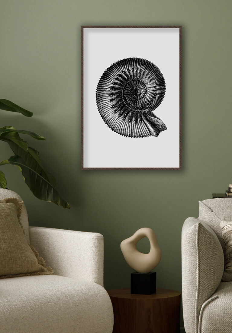 Ilustración vintage detallada de nautilus