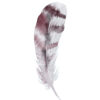 Pintura elegante de pluma en acuarela