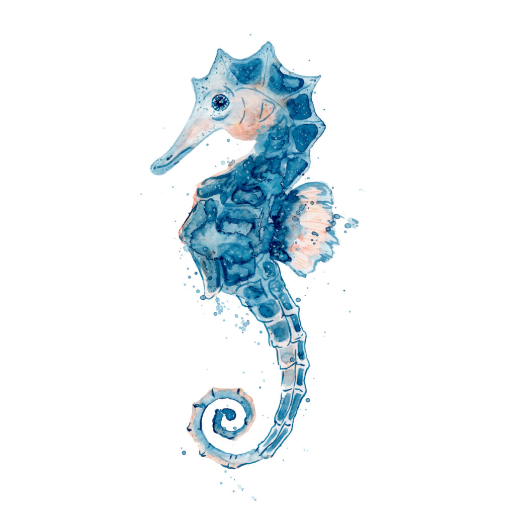 Ilustración de caballito de mar azul en acuarela